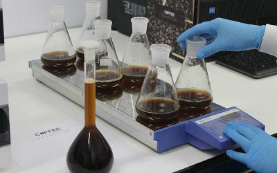 El secreto del envejecimiento saludable está en las mitocondrias